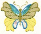 butrfly3