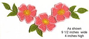 wild roses 1