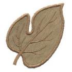mulberry.jpg - 3468 Bytes